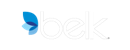 Belk Logo