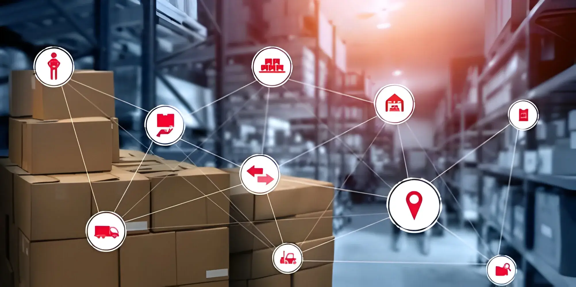 Unlocking Retail Success with Supply Chain Forecasting